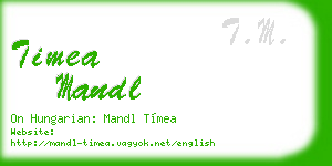 timea mandl business card